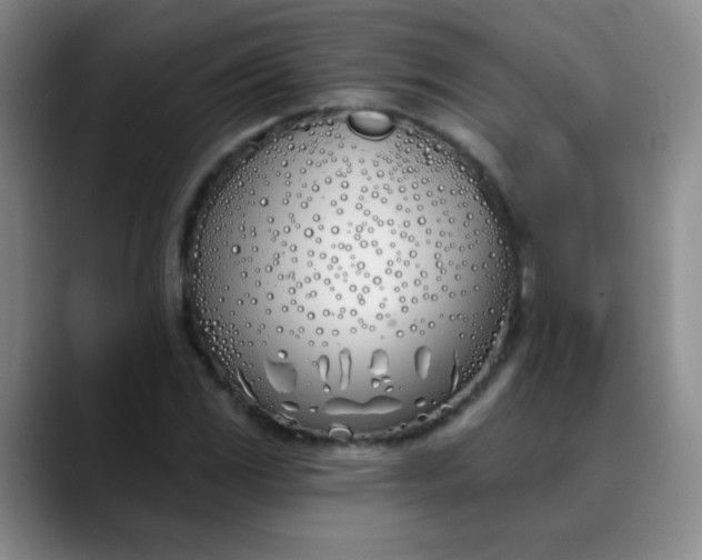 X0000088711117200706141443