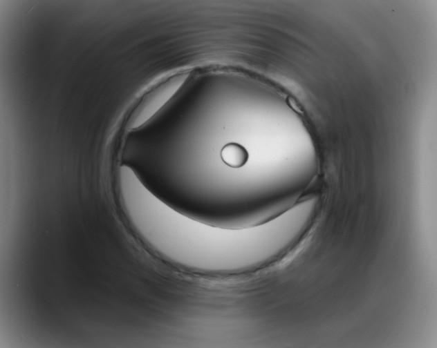 X0000088711118200706141443