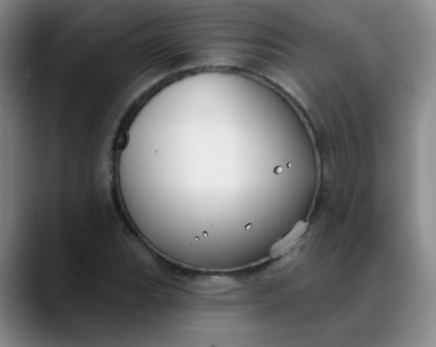 X0000088711119200706141443