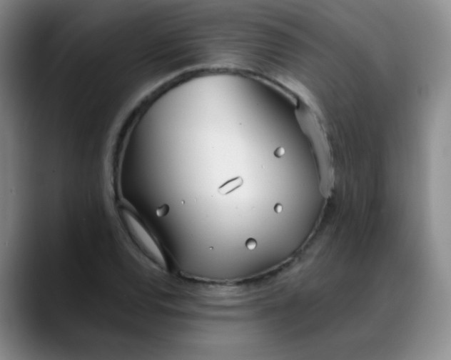 X0000088711120200706141443