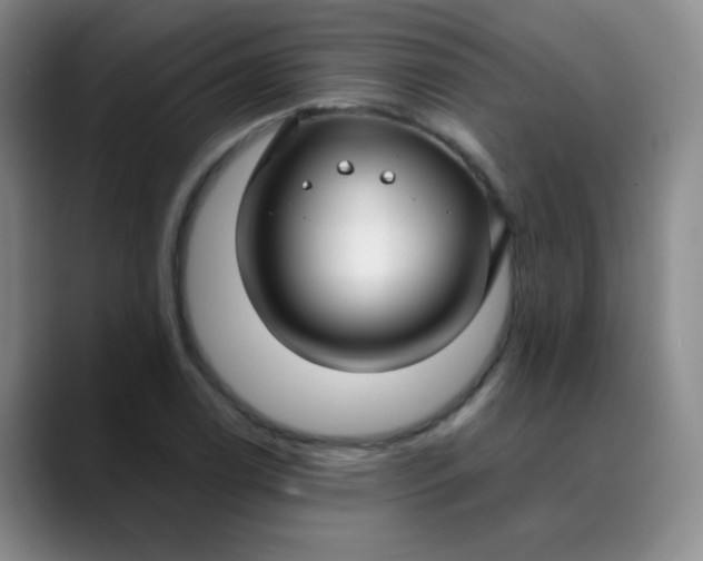 X0000088711122200706141443