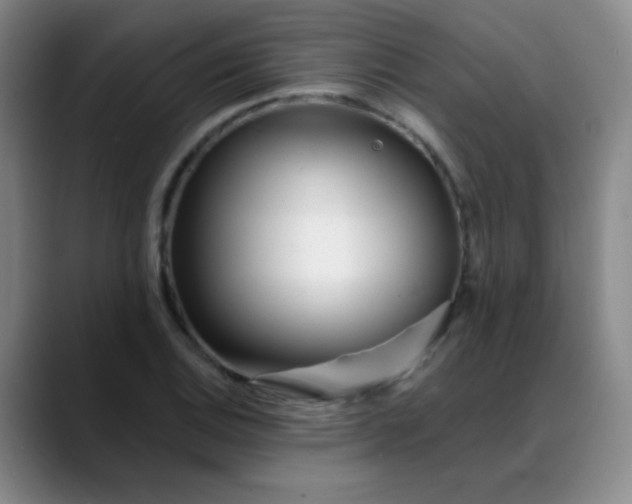 X0000088711124200706141443