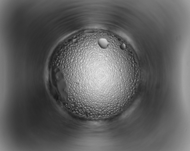 X0000088711125200706141443