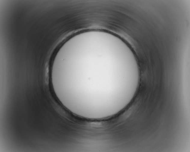 X0000088711126200706141443