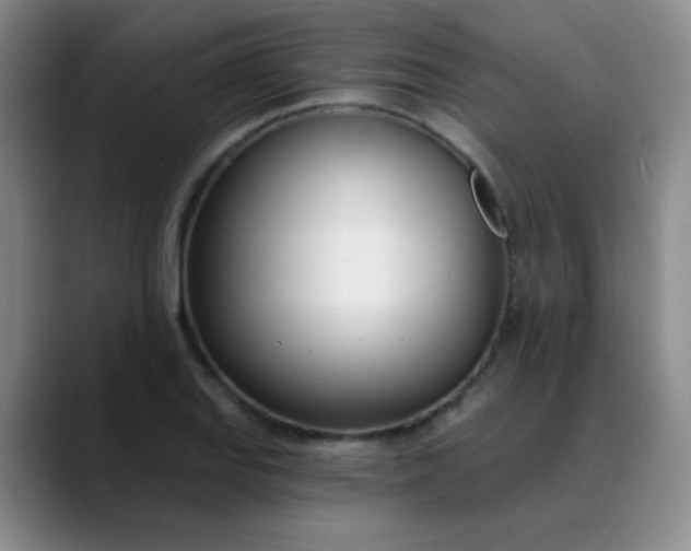 X0000088711127200706141443