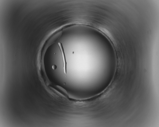 X0000088711128200706141443