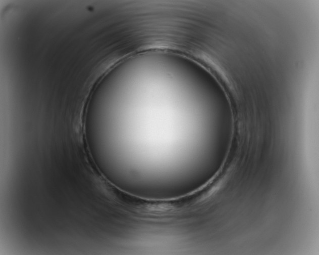 X0000088711129200706141443