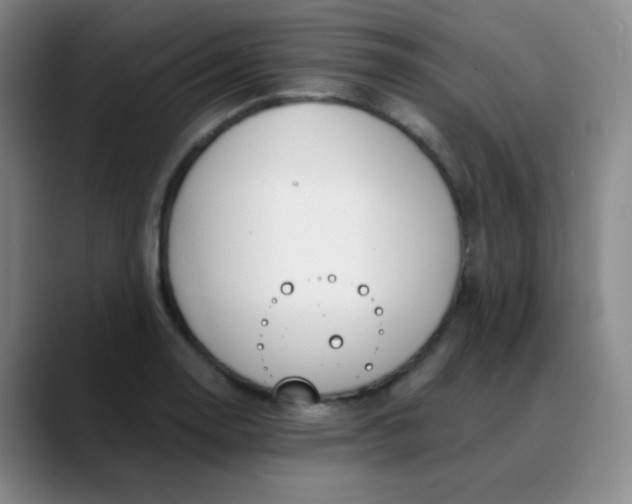 X0000088711130200706141443