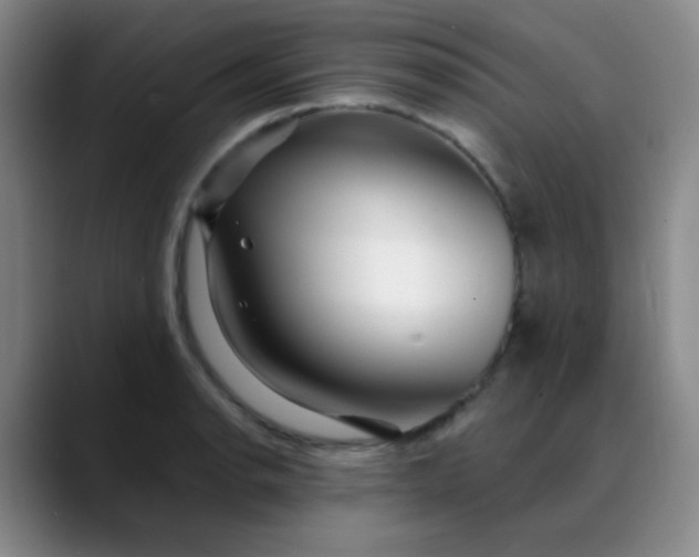 X0000088711134200706141443