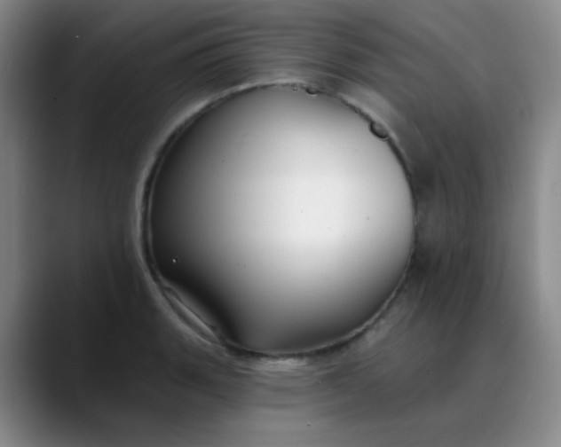 X0000088711135200706141443