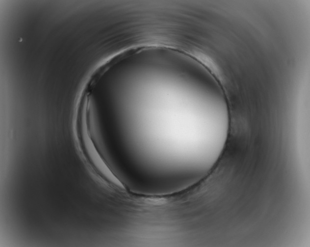 X0000088711136200706141443