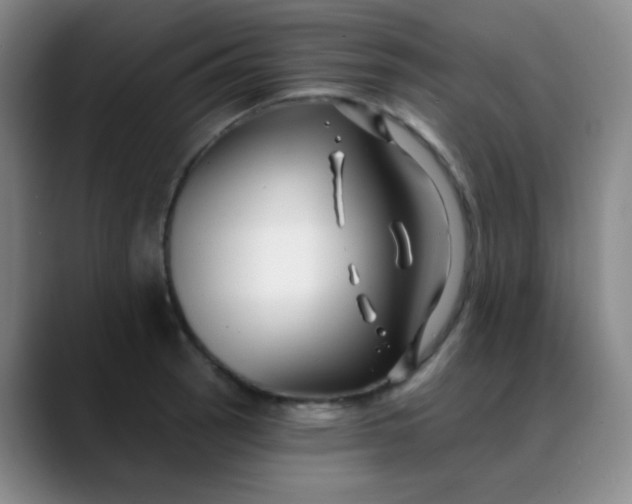 X0000088711137200706141443