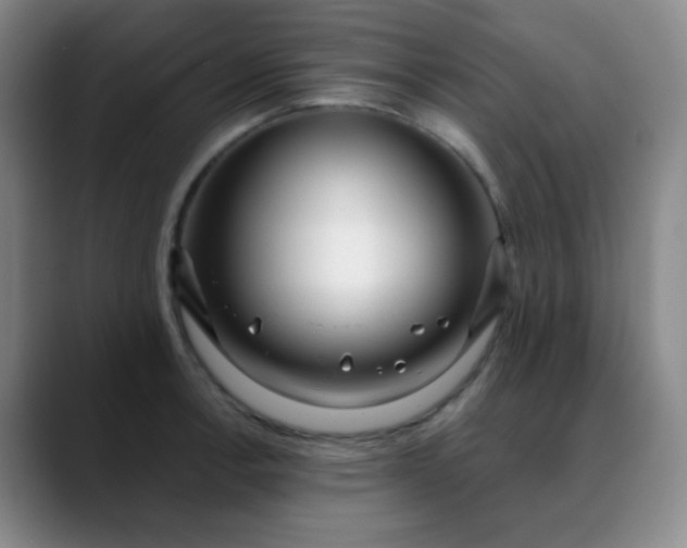 X0000088711138200706141443