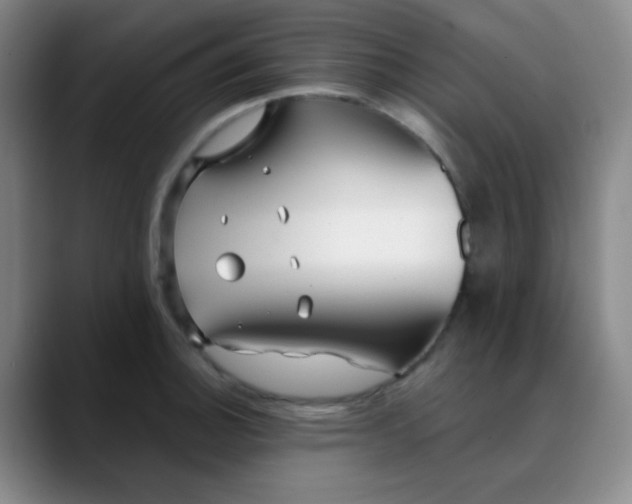 X0000088711140200706141443