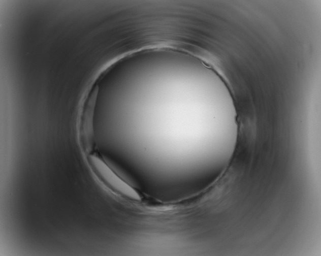 X0000088711143200706141444