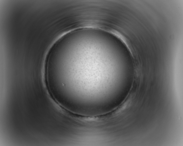 X0000088711147200706141444