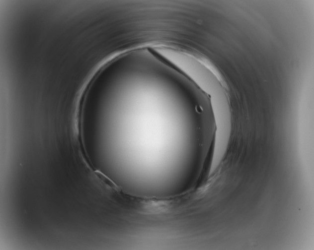 X0000088711148200706141444