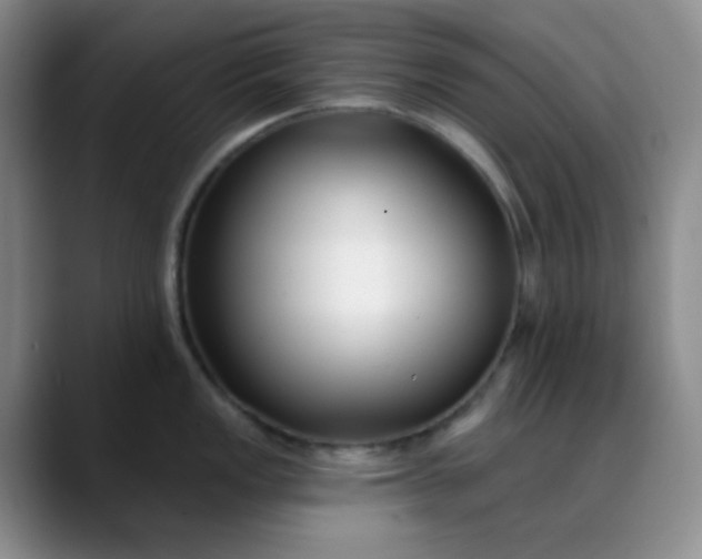 X0000088711149200706141444