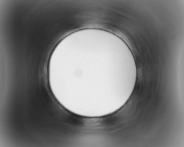 X0000088711150200706141444