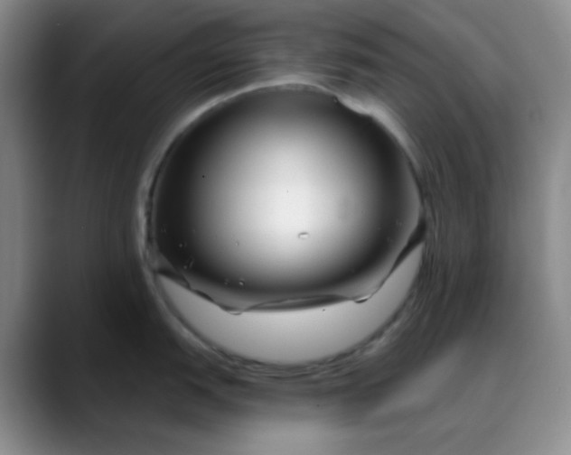 X0000088711151200706141444