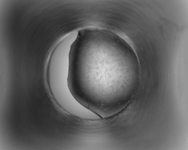 X0000088711152200706141444