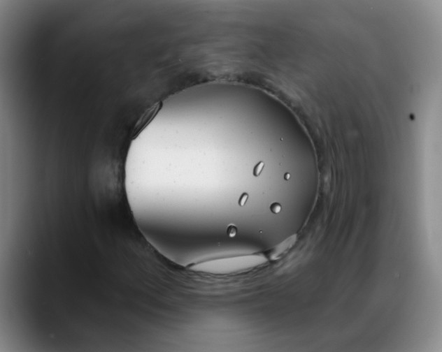 X0000088711156200706141443