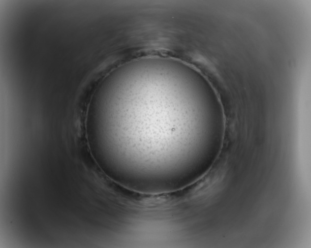 X0000088711159200706141443