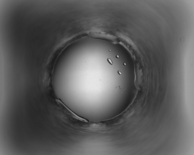 X0000088711160200706141443