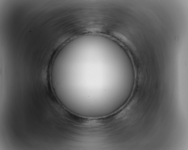 X0000088711162200706141443