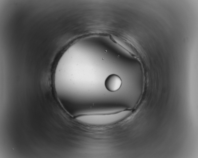 X0000088711164200706141443