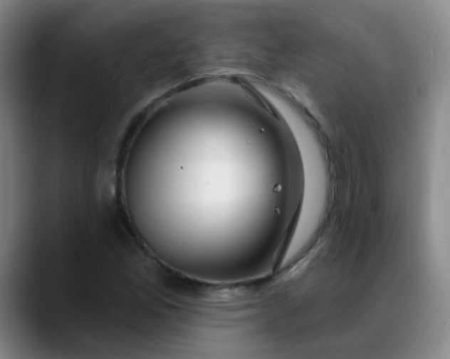 X0000088711165200706141443