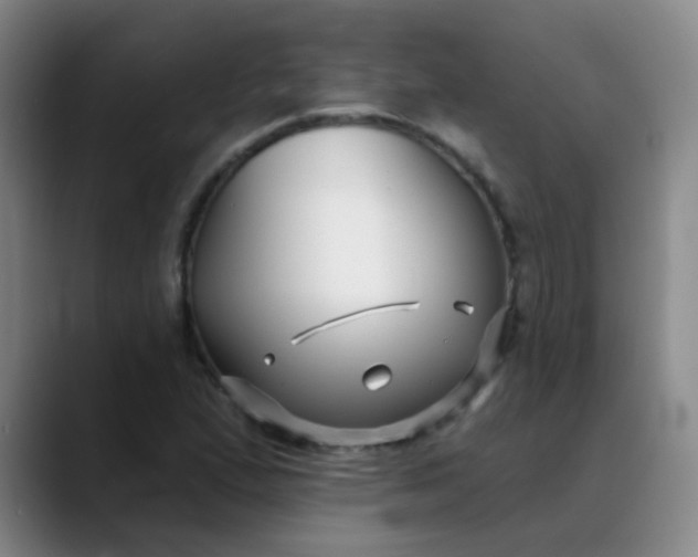 X0000088711167200706141443