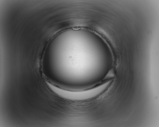 X0000088711169200706141443