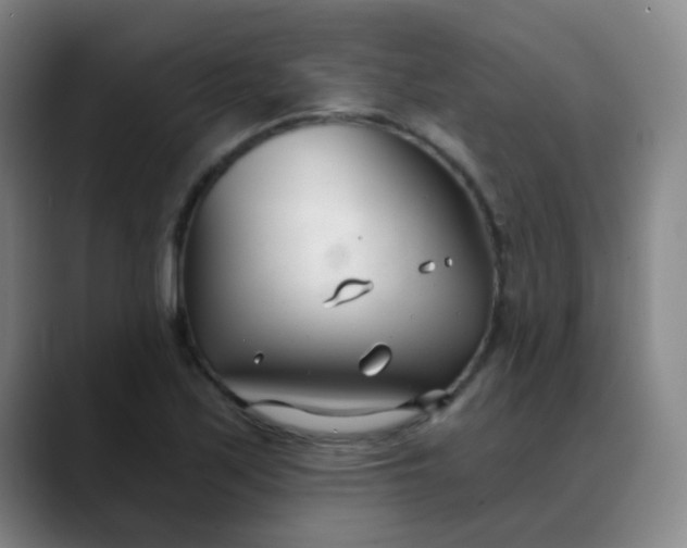 X0000088711171200706141443