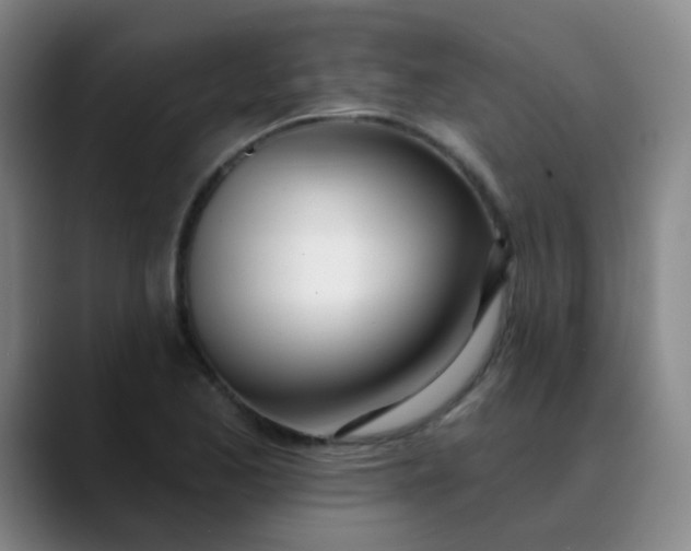 X0000088711173200706141443