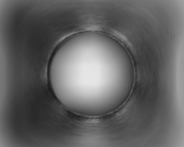 X0000088711174200706141443