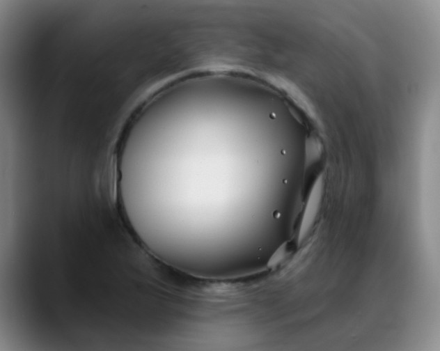 X0000088711175200706141443