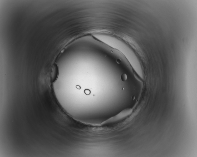 X0000088711177200706141443