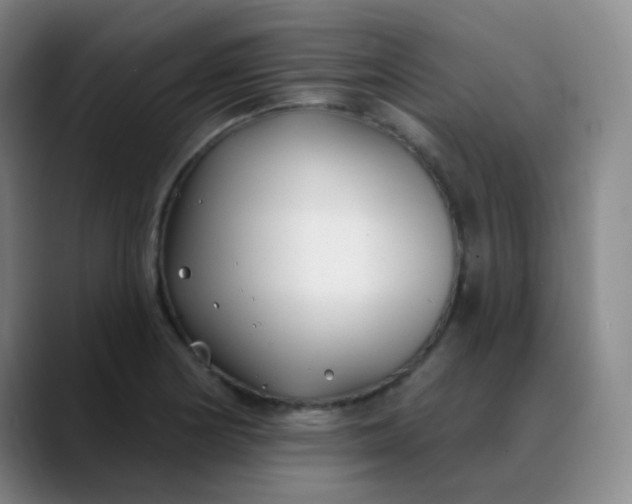 X0000088711178200706141443