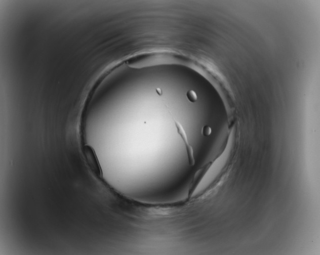 X0000088711181200706141443