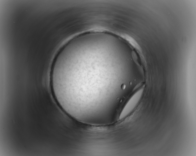 X0000088711183200706141443