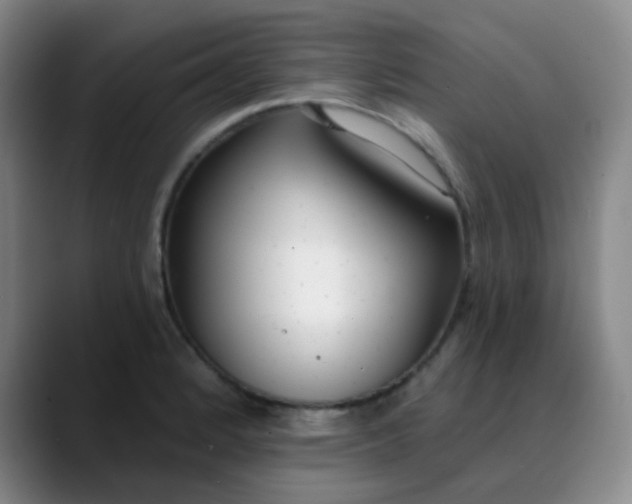 X0000088711184200706141443