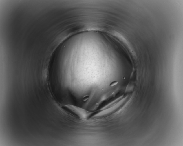 X0000088711185200706141443