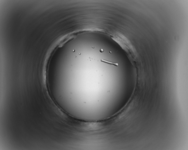 X0000088711188200706141443