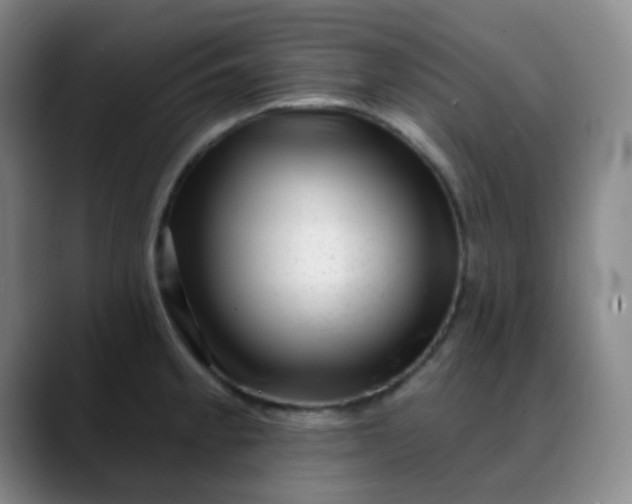 X0000088711189200706141443