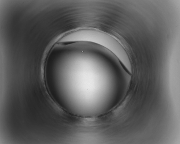 X0000088711196200706141443