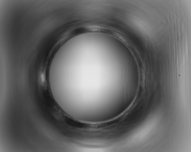 X0000088711198200706141443