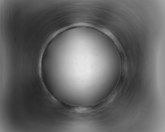 X0000088711199200706141443