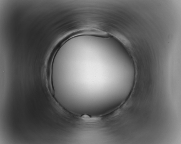 X0000088711200200706141443