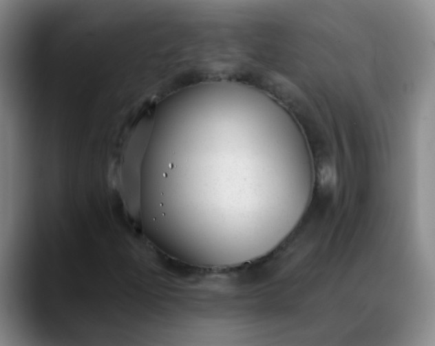 X0000088711204200706141442